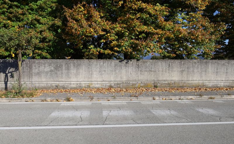 Nature-Inspired Wall