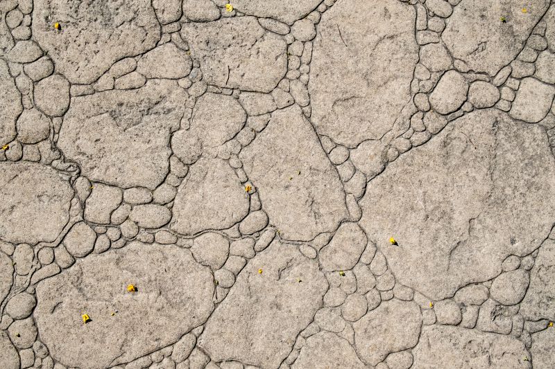 Decorative Concrete Repair in Manassas, VA